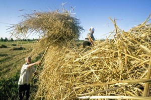 Quốc gia châu Á nào được hưởng lợi và thiệt hại từ cuộc xung đột Nga - Ukraine?