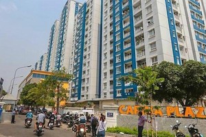 Năm Bảy Bảy (NBB): Cổ phiếu giảm 73,5% giá trị, Đầu tư Hạ tầng Kỹ thuật TP. HCM (CII) vẫn muốn bán thêm 10 triệu cổ phiếu