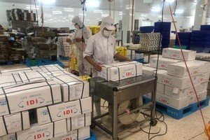 Đầu tư Đa quốc gia I.D.I (IDI) bị xử phạt 125 triệu đồng do không đảm bảo cơ cấu, số lượng thành viên Ủy ban kiểm toán