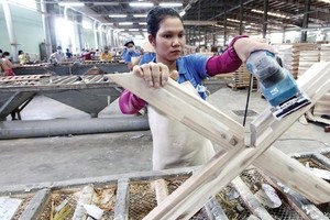 Gỗ Trường Thành (TTF) muốn dùng 285,7 tỷ đồng huy động trong đợt chào bán riêng lẻ để trả nhà cung cấp