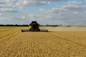 Giá thực phẩm toàn cầu giảm mạnh trong tháng 7, nhưng xu hướng này có thể không kéo dài