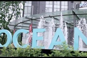 Lỗ trong 6 tháng đầu năm, cổ phiếu Ocean Group (OGC) tiếp tục nằm trong diện cảnh báo