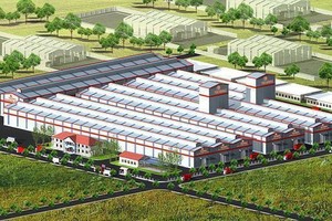 Đầu tư và Xây dựng Bình Dương ACC (ACC) trả cổ tức 8% bằng tiền