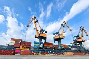 Vận tải và Xếp dỡ Hải An (HAH) bị truy thu và xử phạt thuế 508 triệu đồng