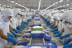 Dragon Capital trở thành cổ đông lớn tại Vĩnh Hoàn (VHC)