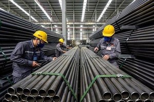 9 tháng đầu năm, Thép Tiến Lên (TLH) tạm lỗ 44% danh mục khi nắm giữ cổ phiếu VIX, IJC, SHB