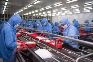 Tập đoàn PAN (PAN): 9 tháng đầu năm lợi nhuận đạt 232 tỷ đồng