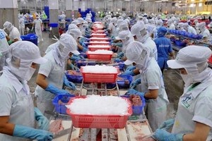 Cổ phiếu Nam Việt (ANV) “bốc hơi 73,8%” giá trị nhưng Tổng giám đốc không mua vào cổ phiếu nào trong tổng đăng ký 2 triệu cổ phiếu