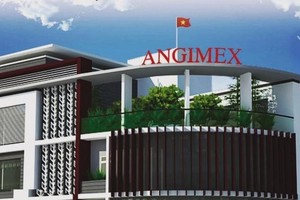 Angimex (AGM) bổ nhiệm một Kiểm toán nội bộ sinh năm 1987