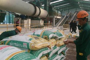 Quý IV/2022, lợi nhuận Phân bón Bình Điền (BFC) giảm 82,4% về 24,8 tỷ đồng