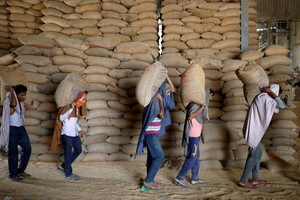 Ấn Độ có thể gia hạn lệnh cấm xuất khẩu lúa mì để bảo toàn nguồn cung trong nước