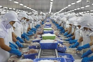 Vĩnh Hoàn (VHC): Lợi nhuận bắt đầu tăng trưởng âm trong quý IV/2022