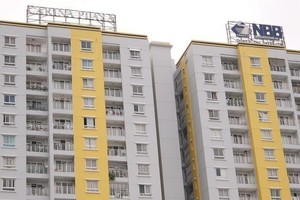 Xây dựng hạ tầng CII chào mua công khai cổ phiếu Năm Bảy Bảy (NBB) với giá cao hơn thị trường 17,7%