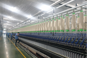 Quý I/2023, lợi nhuận Damsan (ADS) đạt 16 tỷ đồng