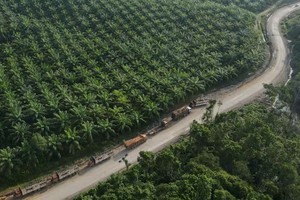 El Nino đang dần gây tác động tiêu cực ở Đông Nam Á