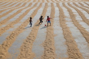 Sản lượng cây trồng châu Á dự báo giảm do El Nino mạnh lên