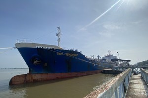 Nam Sông Hậu (PSH) chưa trả lãi cho trái phiếu mệnh giá 400 tỷ đồng