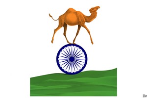 Bài học từ những "lạc đà" công nghệ ở Ấn Độ