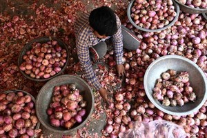 Ấn Độ tiếp tục thắt chặt kiểm soát hàng nông sản