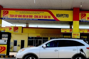 Nam Sông Hậu (PSH) bị cưỡng chế thuế 1.252,4 tỷ đồng