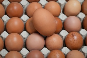 Sự bùng phát trở lại của cúm gia cầm khiến giá trứng ở một số quốc gia tăng cao