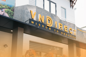 Chứng khoán VNDirect (VND) chào bán 244 triệu cổ phiếu để huy động 2.440 tỷ đồng từ cổ đông