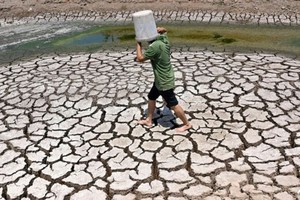 Biến đổi khí hậu tạo ra thêm 26 ngày nắng nóng cực độ trong 12 tháng qua