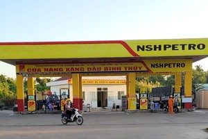 Xử phạt 4 cá nhân dùng 26 tài khoản thao túng cổ phiếu Nam Sông Hậu (PSH)