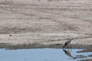 WMO dự báo hiện tượng La Nina có thể giúp nhiệt độ hạ xuống trong năm nay