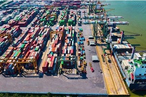 Một tổ chức vừa bỏ ra gần 460 tỷ đồng để mua thêm 21 triệu cổ phiếu Viconship (VSC)