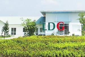 Cổ phiếu Đầu tư LDG (LDG) nằm sàn khi Công ty bị Toà án Quyết định mở thủ tục phá sản