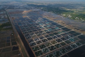 Tập đoàn PAN (PAN) lãi 201 tỷ đồng trong quý II/2024