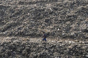 Khí Metan đang tăng nhanh hơn các loại khí nhà kính khác