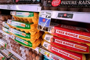 Giá trứng toàn cầu tăng vọt khi cúm gia cầm ảnh hưởng đến nguồn cung