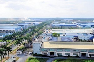 Lợi nhuận Tân Tạo (ITA) đi lùi trong quý III/2024 khi ngân hàng không cho vay và nhà đầu tư ngừng thuê đất