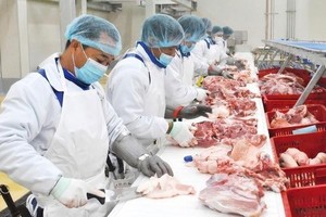 BaF Việt Nam (BaF) thâu tóm một công ty chăn nuôi heo mới thành lập năm 2020