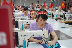 Đầu tư và Thương mại TNG (TNG) vượt kế hoạch lợi nhuận năm 2024