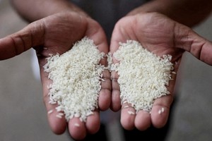 Ấn Độ đặt mục tiêu tăng gấp đôi lượng xuất khẩu nông sản vào cuối thập kỷ này