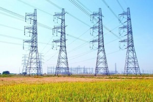 PECC2 (TV2) gia hạn thời gian tổ chức Đại hội đồng cổ đông thường niên năm 2025 tới cuối tháng 6