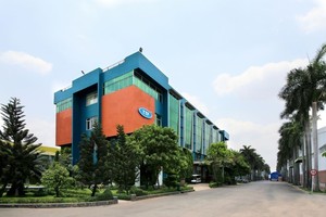 Gỗ Trường Thành (TTF): Lãi quý I/2025 giảm 86,4%, về 1,58 tỷ đồng