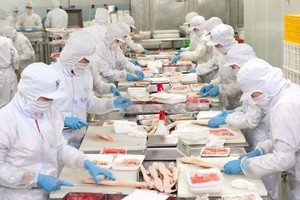 Nam Việt (ANV): Con trai Tổng giám đốc Doãn Tới đã bị bán giải chấp tổng cộng hơn 4,3 triệu cổ phiếu