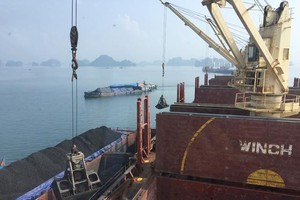 Việt Phát (VPG) lên tiếng sau khi cổ phiếu giảm sàn 5 phiên liên tiếp