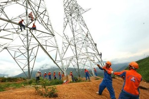 Sông Đà 11 (SJE) “ế” gần 2,3 triệu cổ phiếu trong đợt chào bán cho cổ đông hiện hữu