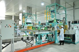 Lợi nhuận quý III/2025 của Tập đoàn PAN (PAN) đi lùi do hụt lãi từ công ty liên kết