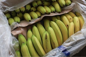 Tổng thống Trump giảm thuế loạt nông sản trong nỗ lực kiềm chế giá cả