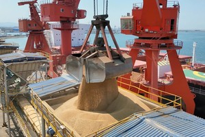 Nhập khẩu đậu tương Mỹ của Trung Quốc chững lại khi tồn kho tăng kỷ lục