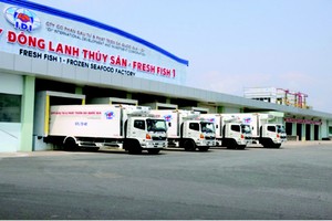 Đầu tư và Phát triển Đa Quốc Gia I.D.I (IDI): Thay đổi Tổng giám đốc, quý I/2023 báo lãi sau thuế 17,5 tỷ đồng