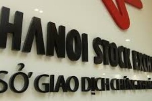 Giá trị cổ phần đấu giá thành công qua HNX tăng 354,5%