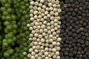 HKB chính thức niêm yết 20 triệu cổ phiếu