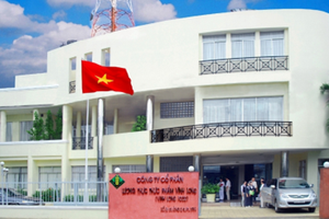 VLF chi trả 8% cổ tức năm 2012 bằng tiền mặt